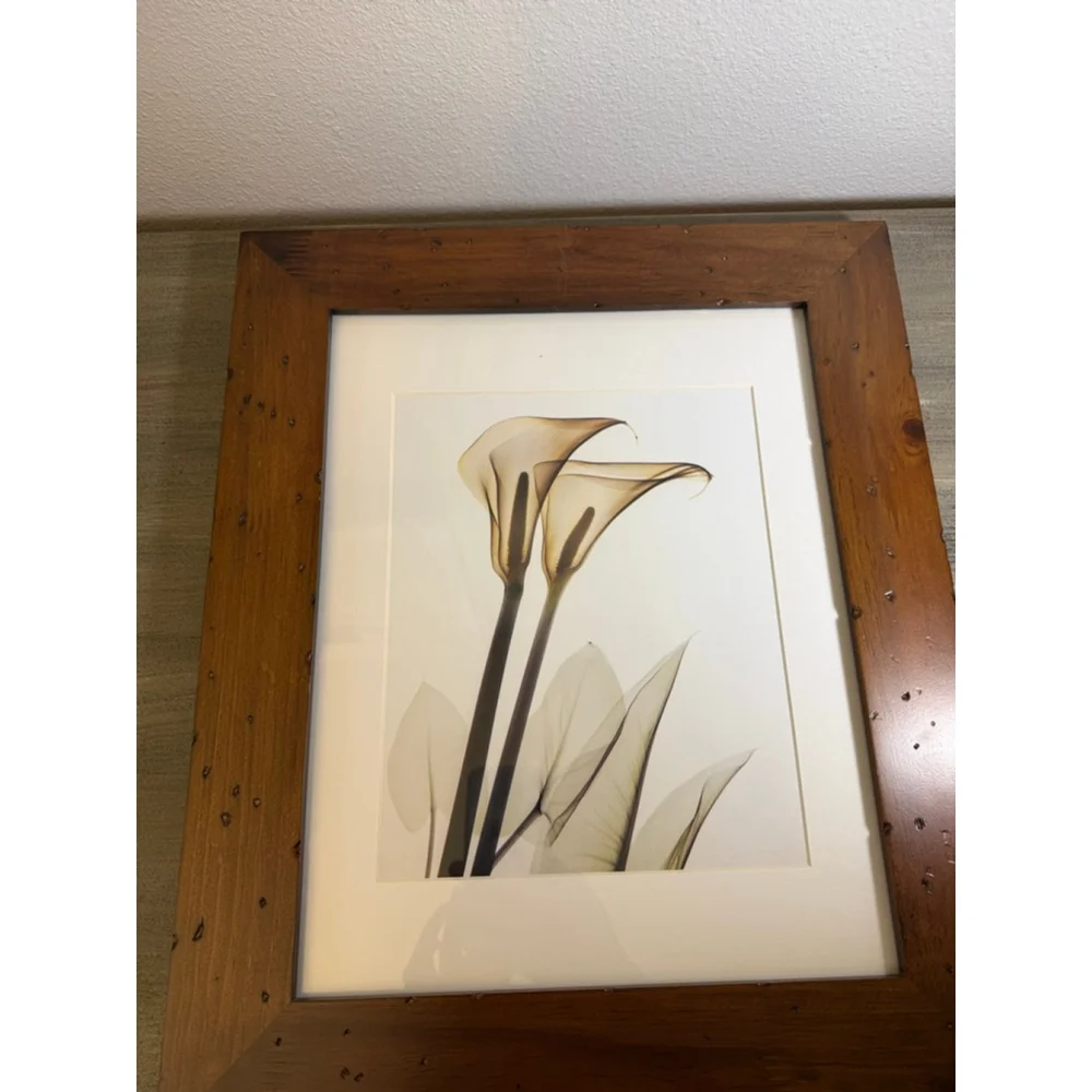 Framed Calla Lily art print approx. 15x18”